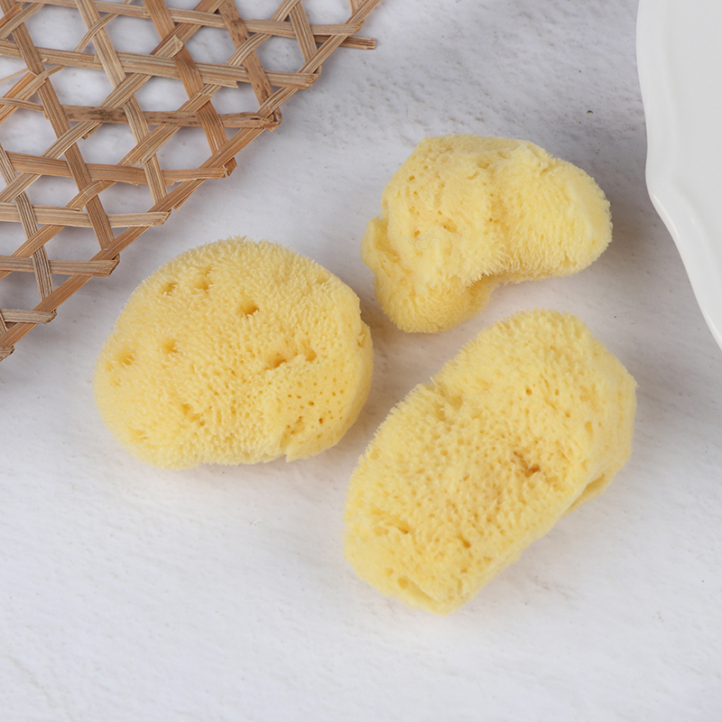 Eco Sponge - Specjalistyczne narzędzie do czyszczenia tekstur, naturalna