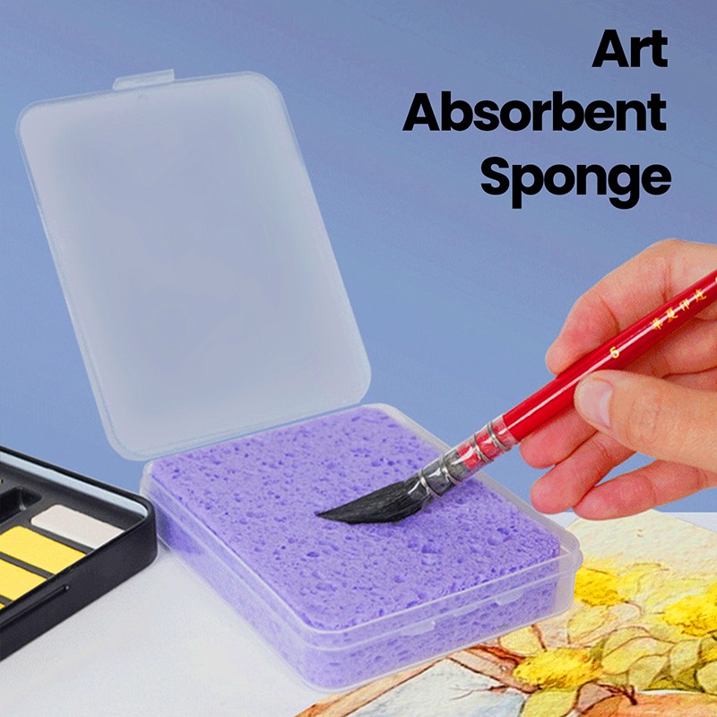 Eco Sponge - Pakowane w pudełku gąbki do czyszczenia