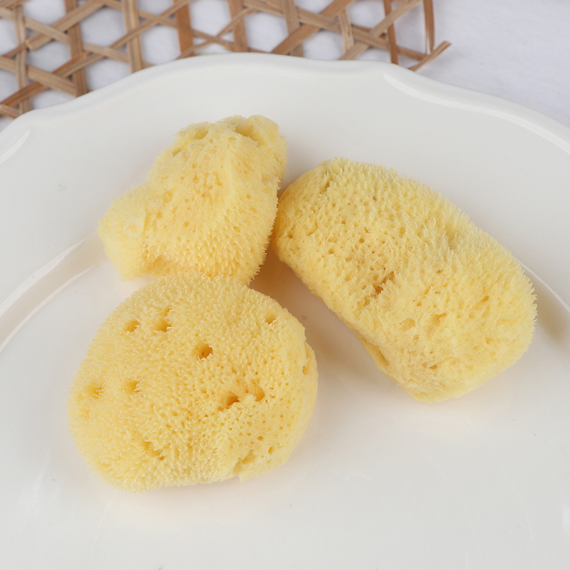 Specjalistyczne narzędzie do c – Eco Sponge recenzja i cena