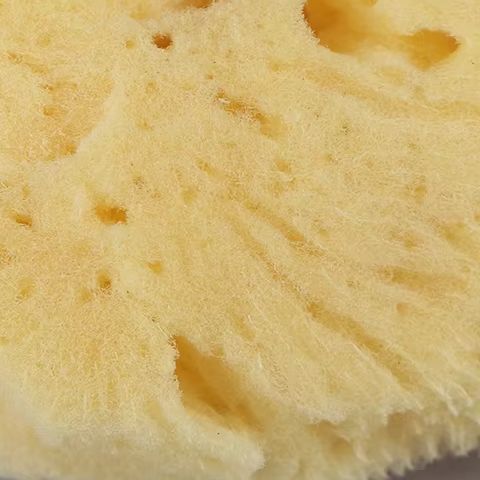 Specjalistyczne narzędzie do c – Eco Sponge recenzja i cena